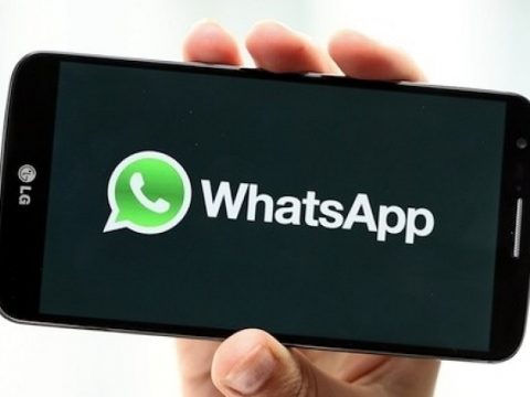 Ya podrás buscar un GIF sin tener que salir de WhatsApp