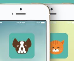 Mejora la relación con tu perro con cualquiera de estas APPs