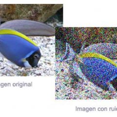 3 herramientas web para reducir el ruido en tus fotografías