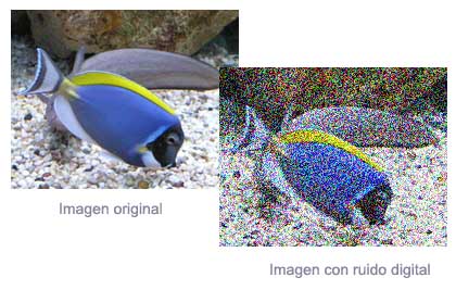 3 herramientas web para reducir el ruido en tus fotografías