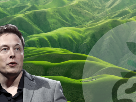 Elon Musk dará 100 MDD a quien tenga la mejor tecnología para captura de carbono