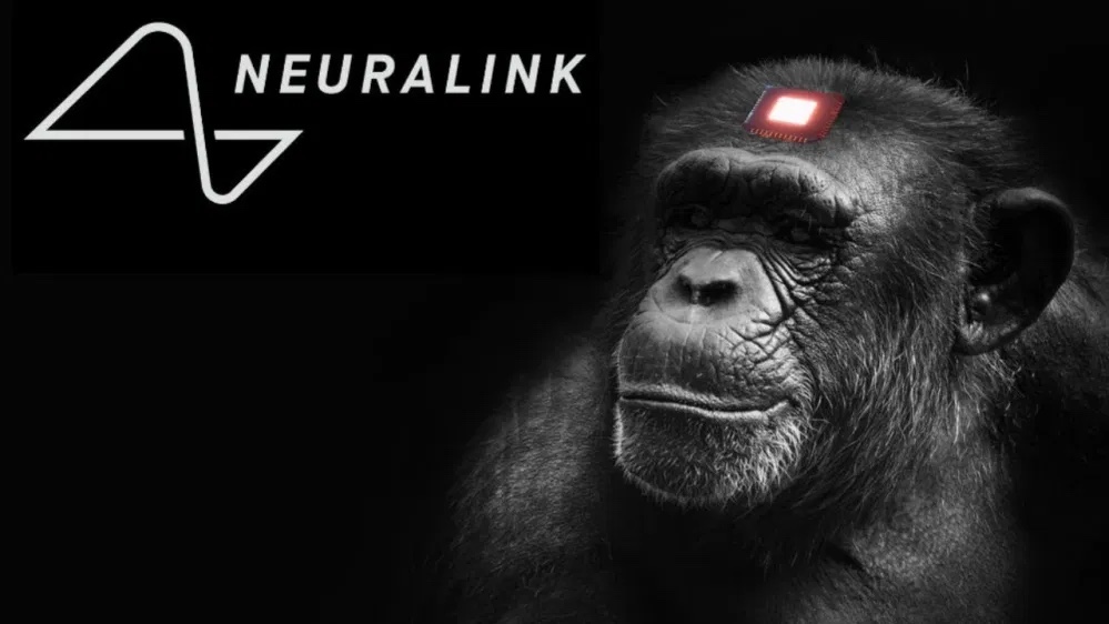 Neuralink - DominioLibre 1