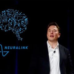 A finales de 2021 Neuralink podría implantar chips cerebrales