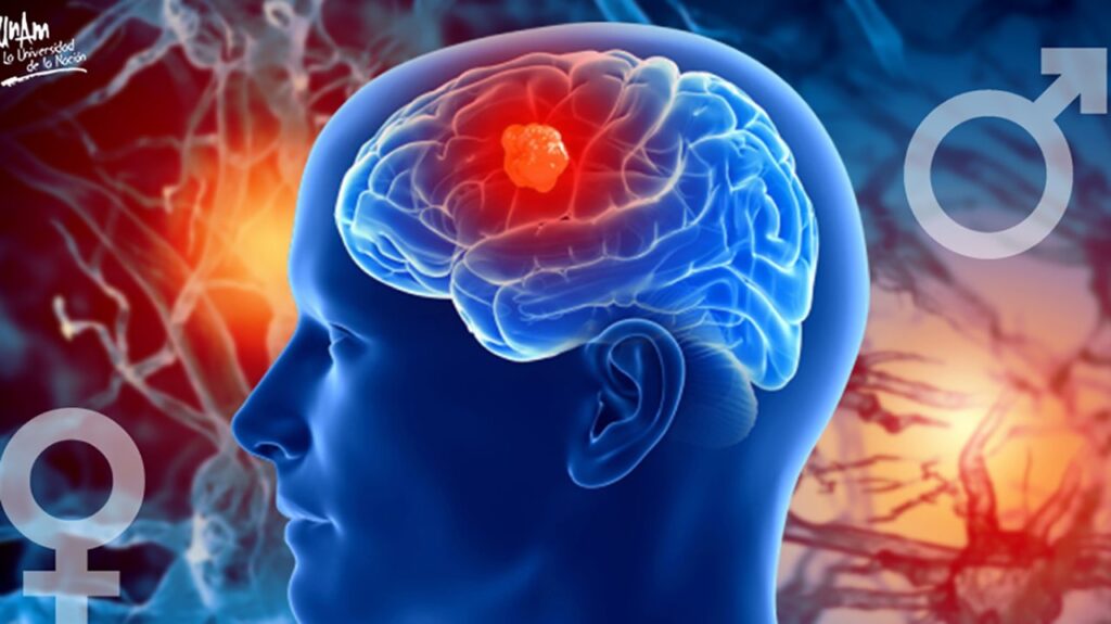 Proteína que borra los malos recuerdos 