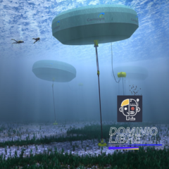 La luz que vendrá del mar