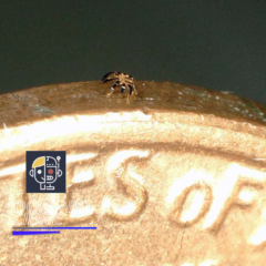 No sentirás el robot RC ambulante más pequeño del mundo arrastrándose por tu cuerpo