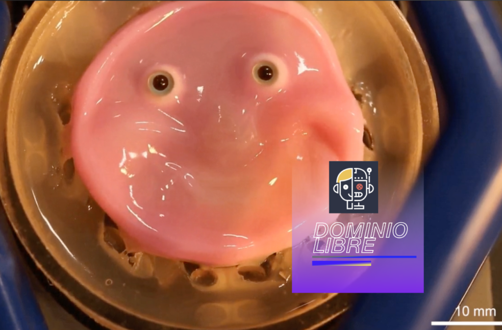 Los científicos crean piel ‘viva’ para robots sonrientes en una visión horripilante del futuro.